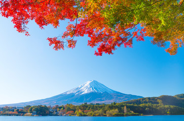 紅葉　富士山　河口湖　2019