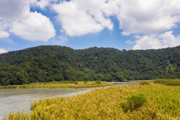 Fototapeta na wymiar landscape of Sun Moon Lake