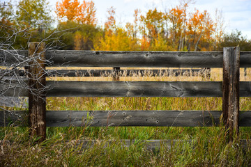 Old Weathered Fence