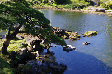 日比谷公園の風景