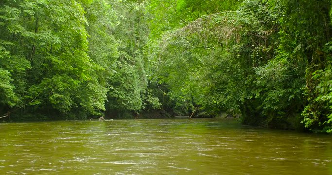 Floating on the Mulu River, Gunung Mulu National Park, Sarawak province, Borneo Island, Malaysia