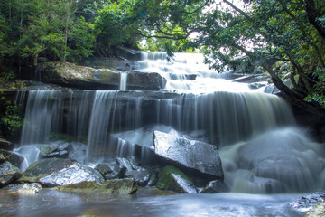 waterfall in forest
