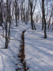 雪山の獣道