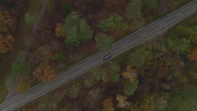 Straße entlang eines herbstlichen Waldes - Diagonale Fahrbahn mit einem fahrendem Auto