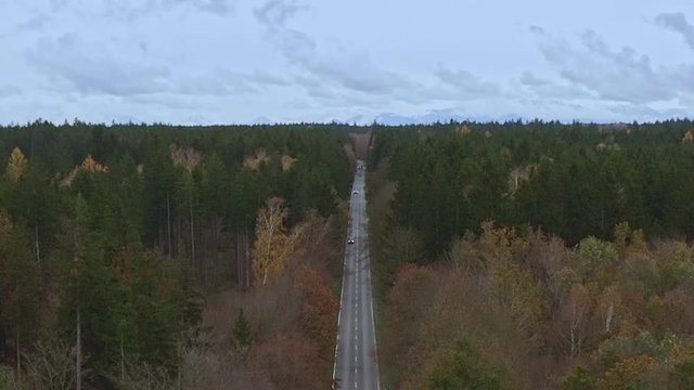 Stra&szlig;e entlang eines herbstlichen Waldes - Fahrende Autos mitgezoomt
