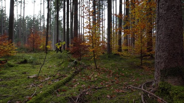 Herbstmoment im Wald - Die Waldluft bei einem Spaziergang genie&szlig;ender Mann