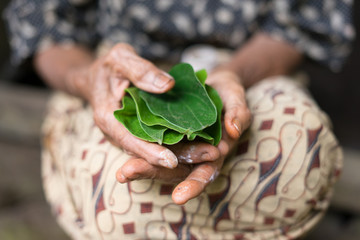 The ingredients and making of betel nuts