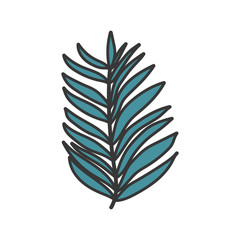 Fototapeta premium palm leaf tropical botanical icon