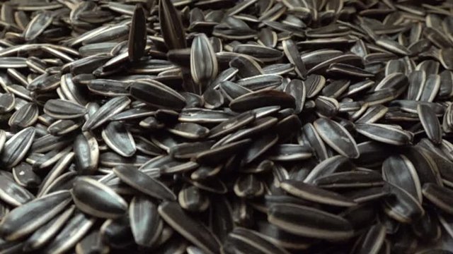 Sunflower seeds slowly fall from top to bottom