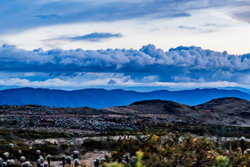 Ruta del Roble, Santander, Boyacá, Colombia