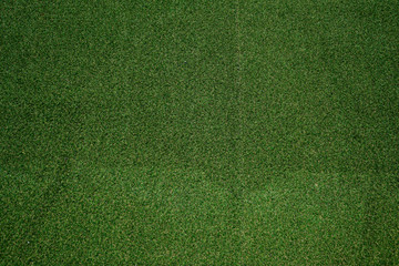 Green grass background turf grass surface abstract