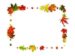 Leaves isolated. Autumn leaf pattern. Season falling leaves background.