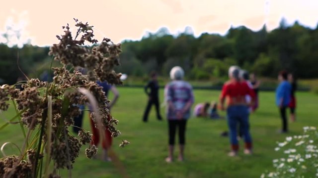 A circular group of senior women in a park are doing exercises with their instructor. They are revealed behind withered flowers with selective focus