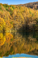 紅葉を映す御射鹿池
