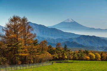 紅葉の山梨県立まきば公園から富士山