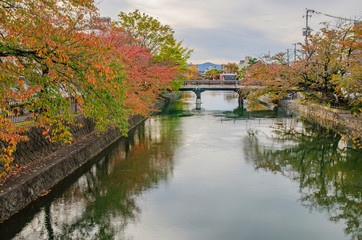 Obraz premium 京都 岡崎疏水