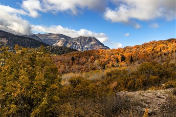 Naklejka premium Rocky Mountains in Autumn, Wasatch Range, UT
