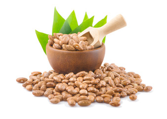Pinto beans an isolated on white background