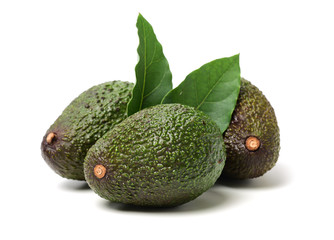 Avocado on a white background