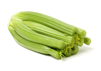 celery on a white background 