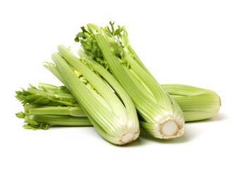 celery on a white background 