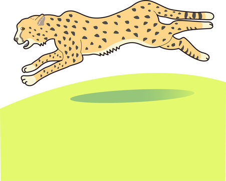 走る チーター リアル イラスト 草原 躍動感 シンプル 明るい 野生動物 Stock Vector Adobe Stock 走る チーター リアル イラスト 草原 躍動感 シンプル 明るい 野生動物 Stock Vector Adobe Stock