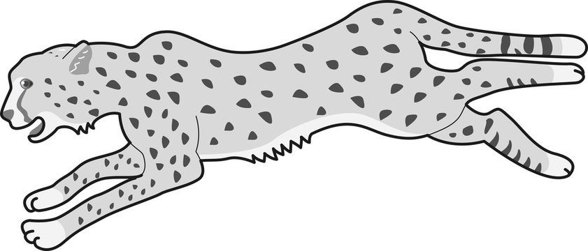 9 161 件の最適な 躍動感 画像 ストック写真 ベクター Adobe Stock