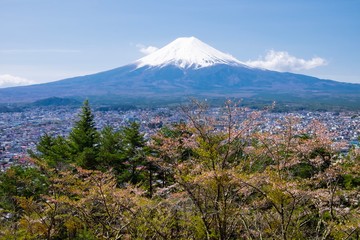 Landscape of Fuji mountain with snow cap under blue sky, Landmark of Fujiyoshida, Japan