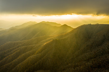 山