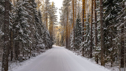 Fototapeta premium The winter snow road in the forest