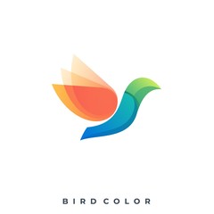 Modern Bird Colorful Illustration Vector Template