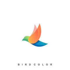 Modern Bird Colorful Illustration Vector Template