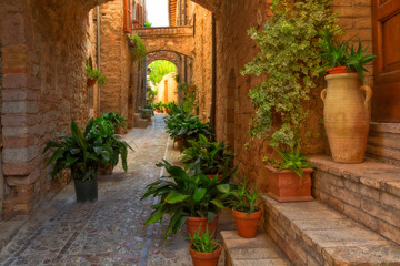 Plants in pots on narrow street of the ancient city of Spello, Umbria, Italy