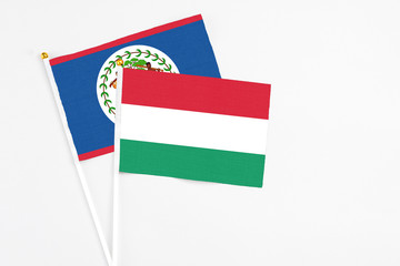 Hungary and Belize stick flags on white background. High quality fabric, miniature national flag. Peaceful global concept.White floor for copy space.