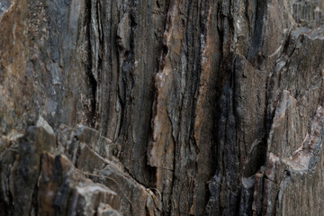 granite rock, quartz and nickel streaks