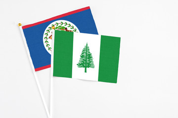 Norfolk Island and Belize stick flags on white background. High quality fabric, miniature national flag. Peaceful global concept.White floor for copy space.