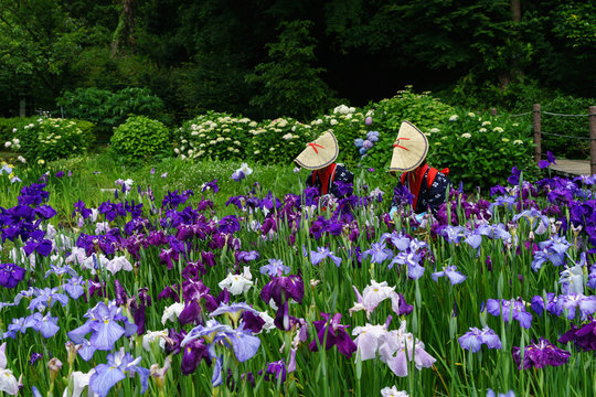 せせらぎ公園 Images Browse 165 Stock Photos, Vectors, and Video Adobe Stock