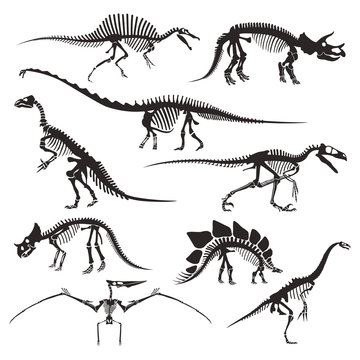 Prehistoric animals bones, dinosaur skeletons isolated icons