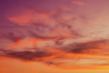 The evening sky at sunset is painted with bright, fantastic, saturated violet, red, orange, yellow, golden colors. Dramatic skies with light fluffy cirrus clouds. Modern trendy abstract background