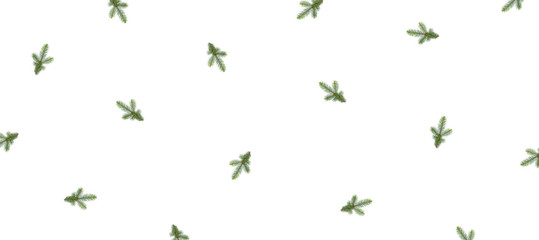 Christmas pattern of a branch of fir isolated on white background. Flat lay, top view.