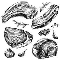 Hand drawn sketch meat set. detailed ink food illustration. Steak meat hand drawing with pepper and rosemary, lemon, garlic. 