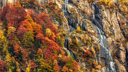 Fototapeta na wymiar Waterfall and forest in autumn season in the mountains