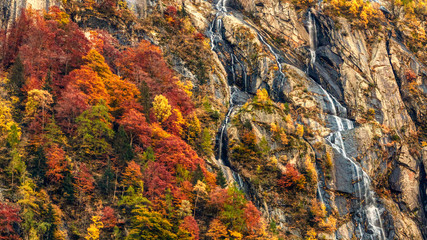 Waterfall and forest in autumn season in the mountains