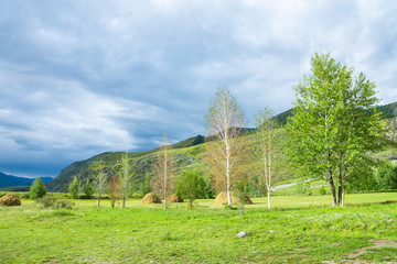 Fototapeta na wymiar Steppe landscape with mountains on the background