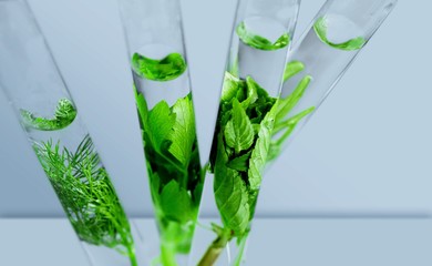 Algae.
