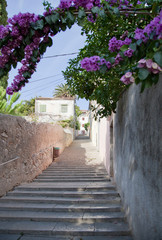 Fototapeta na wymiar Old town's stairs in summertime