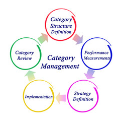 Five Stages of Category Management.