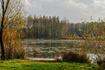 Jesienny staw  © wedrownik52