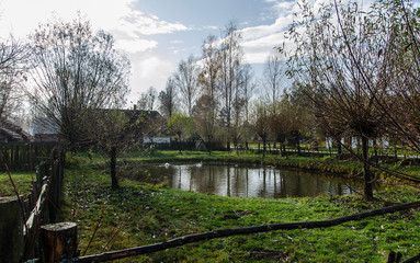 Wiejski staw  © wedrownik52