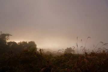 濃霧に包まれた田園の朝